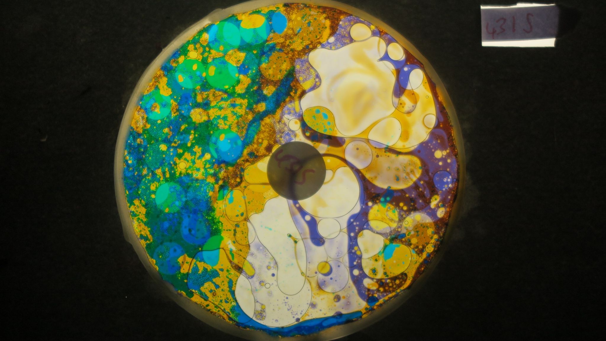 BV4315 bubble vision oil wheel